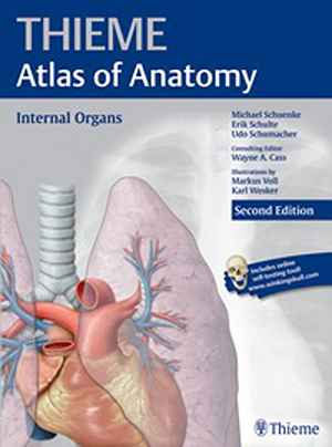 Internal Organs (THIEME Atlas of Anatomy) 2nd