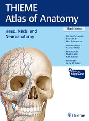 Head, Neck, and Neuroanatomy (THIEME Atlas of Anatomy) 3rd