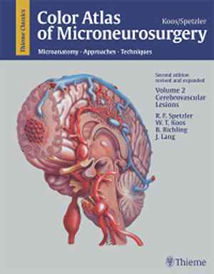 Color Atlas of Microneurosurgery: Volume 2 - Cerebrovascular Lesions: Microanatomy - Approaches - Techniques 2nd