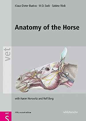 Anatomy of the Horse, Fifth, Revised Edition