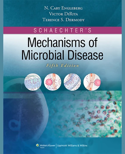 Schaechter's Mechanisms of Microbial Disease: , Volume 700