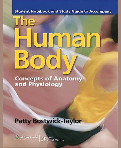 Student Notebook and Study Guide to Accompany The Human Body: Concepts of Anatomy and Physiology