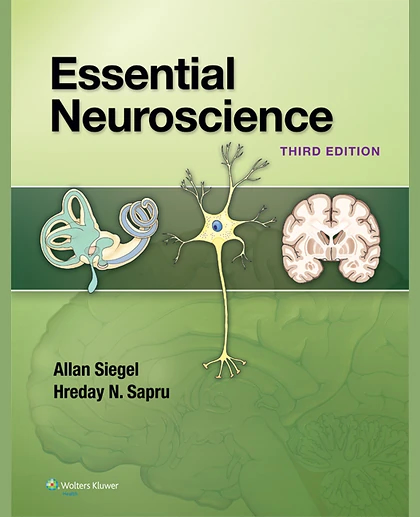 Essential Neuroscience
