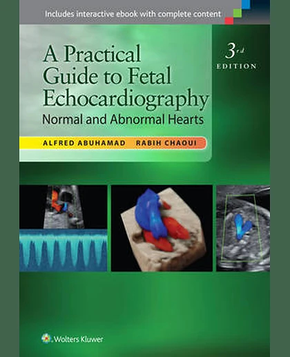 A Practical Guide to Fetal Echocardiography: Normal and Abnormal Hearts