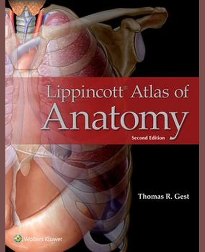Lippincott Atlas of Anatomy