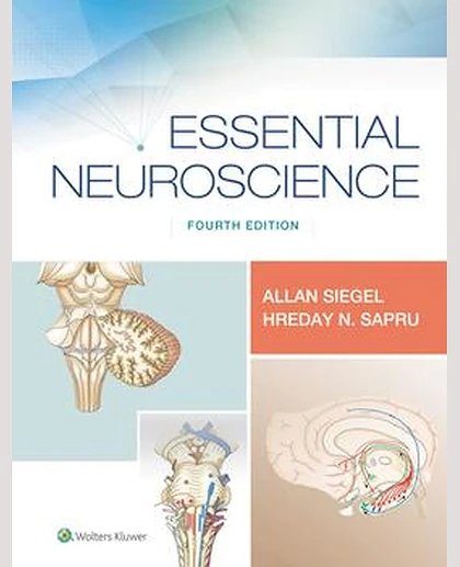 Essential Neuroscience
