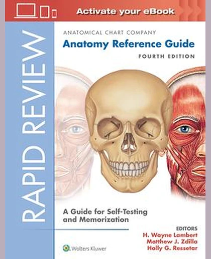 Rapid Review: Anatomy Reference Guide