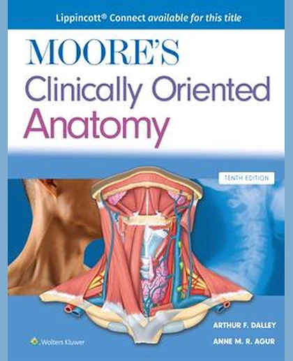 Moore's Clinically Oriented Anatomy