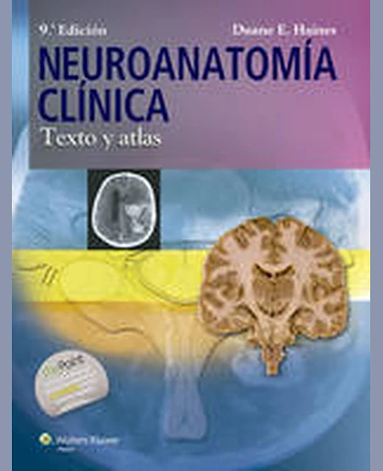 Neuroanatoma̕ cln̕ica: Atlas De Estructuras, Secciones Y Sistemas