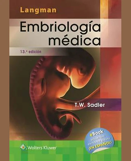 Langman. Embriología Médica, 13e