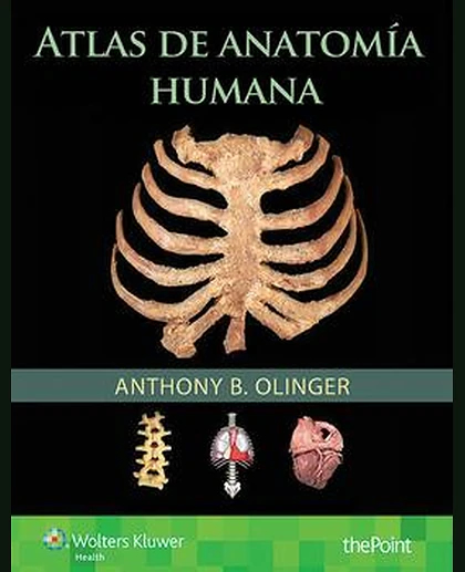Atlas de anatomía humana