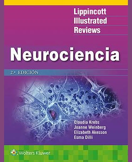 LIR. Neurociencia