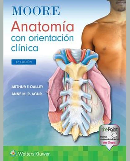 Moore. Anatomía con orientación clínica