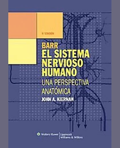 Barr El Sistema Nervioso Humano: Una Perspectiva Anatómica