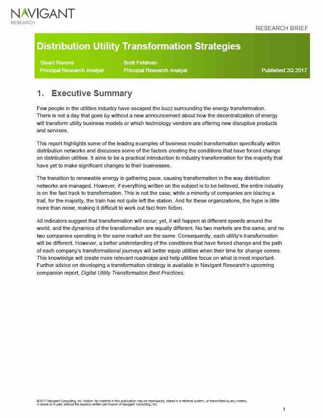 Distribution Utility Transformation Strategies